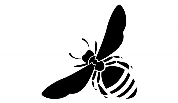 biene